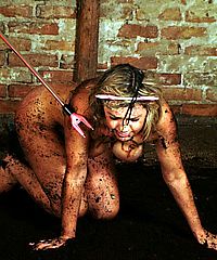 Electro Pain Pig Humiliation